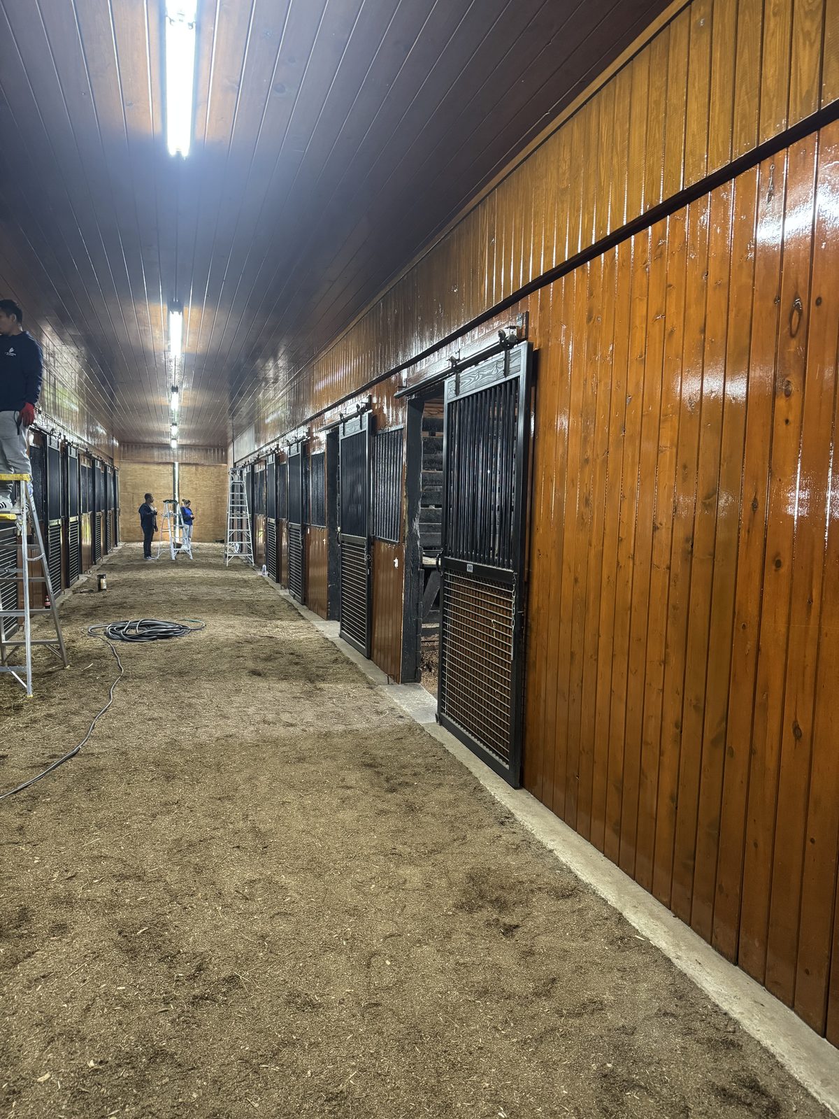 Long horse stable hallway with freshly stained wood paneling and stall doors